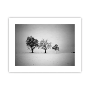 Poster - Waar dromen ze over? - 40x30 cm