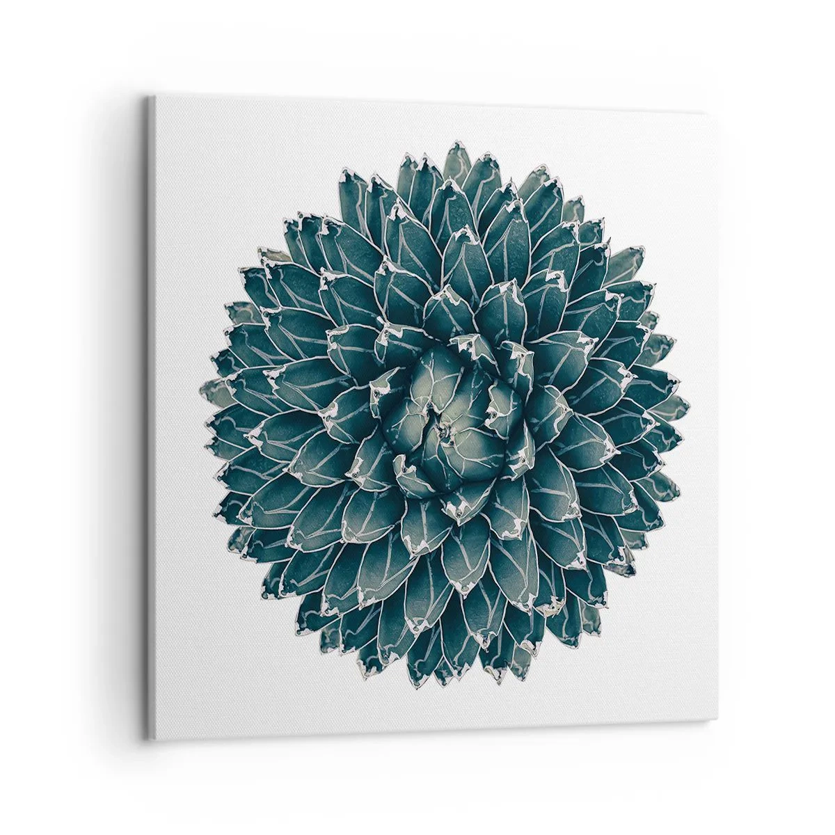 Schilderen op canvas - De ster van de woestijn - 50x50 cm