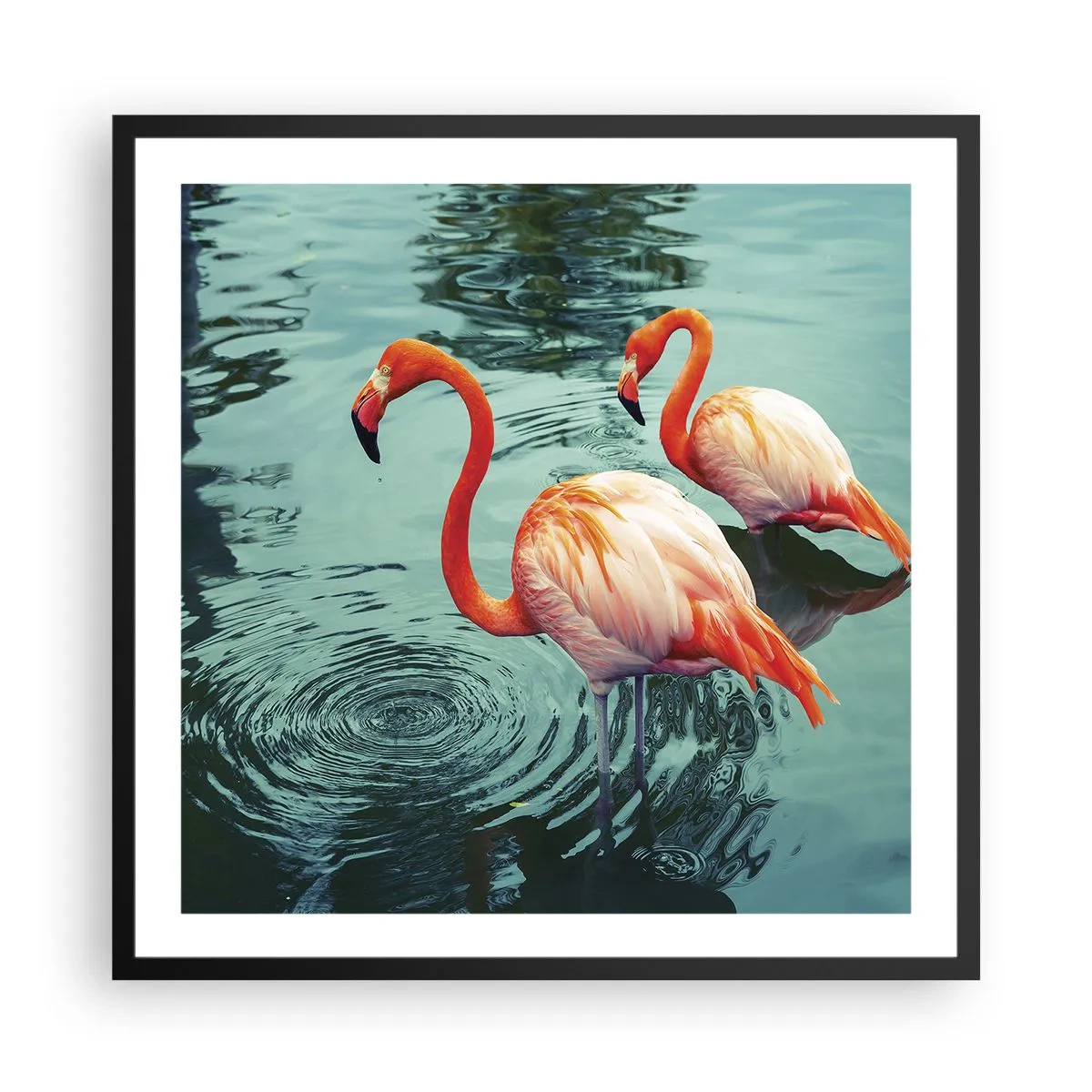 Poster in een zwarte lijst - We zijn nu in de mode - 60x60 cm