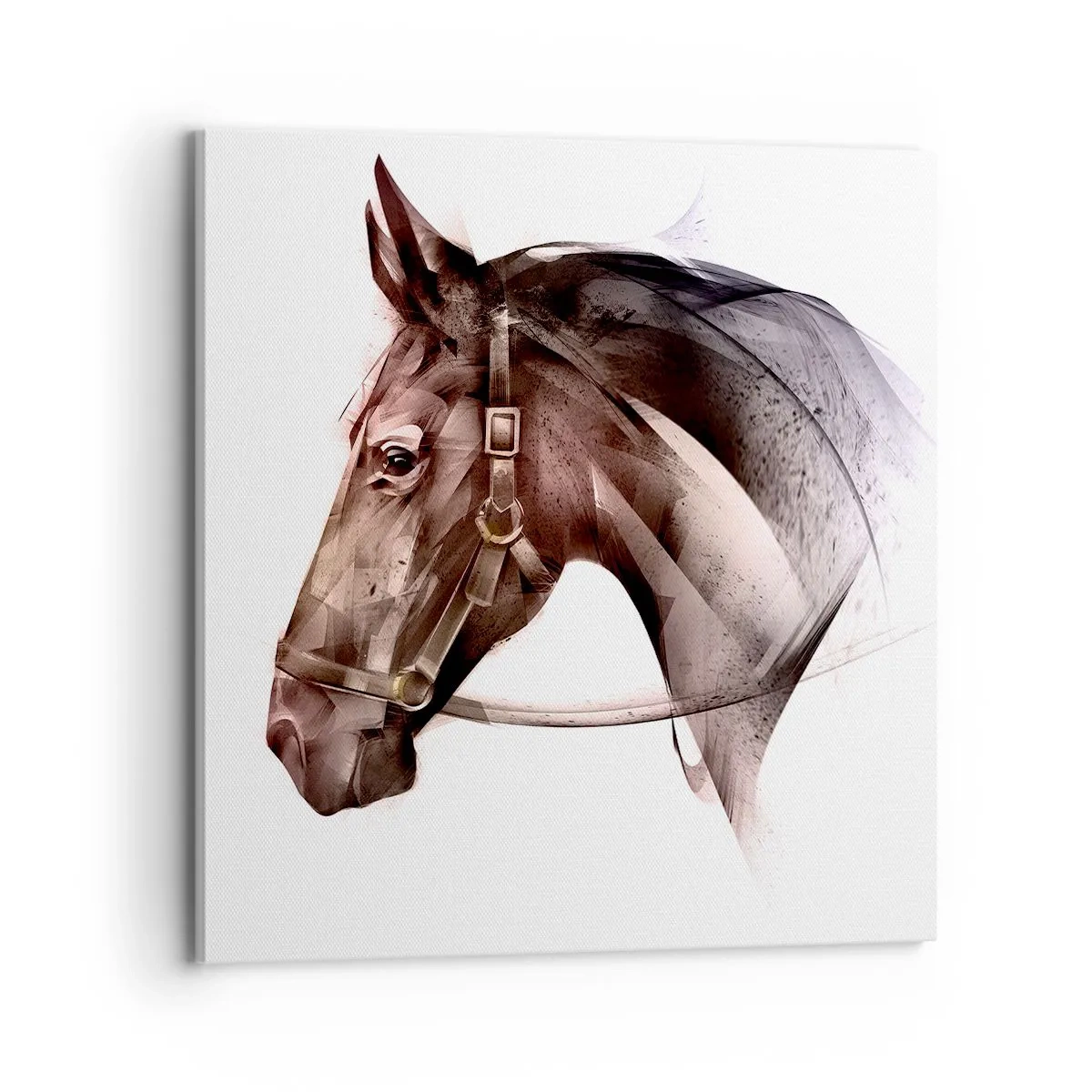 Schilderen op canvas - Wat een charme - 70x70 cm