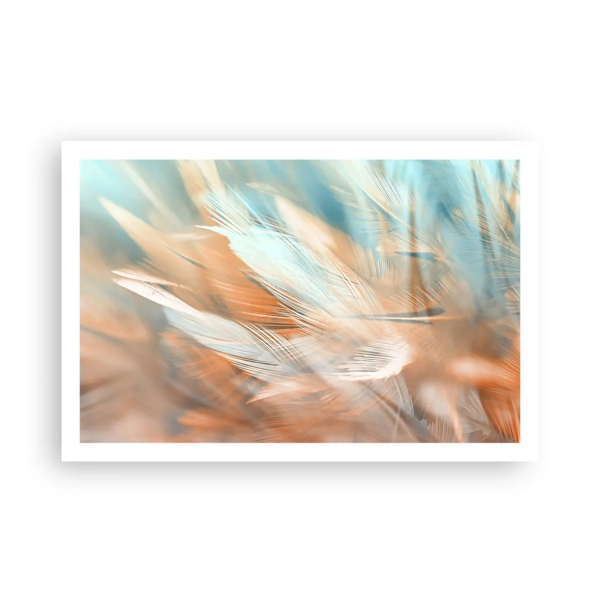 Poster - In het land van zachtheid - 91x61 cm