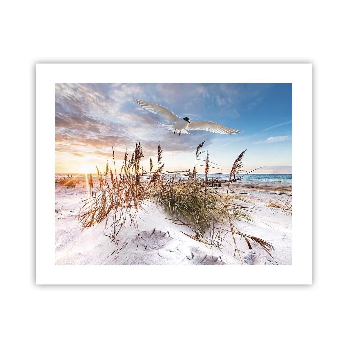 Poster - Wind uit zee - 50x40 cm