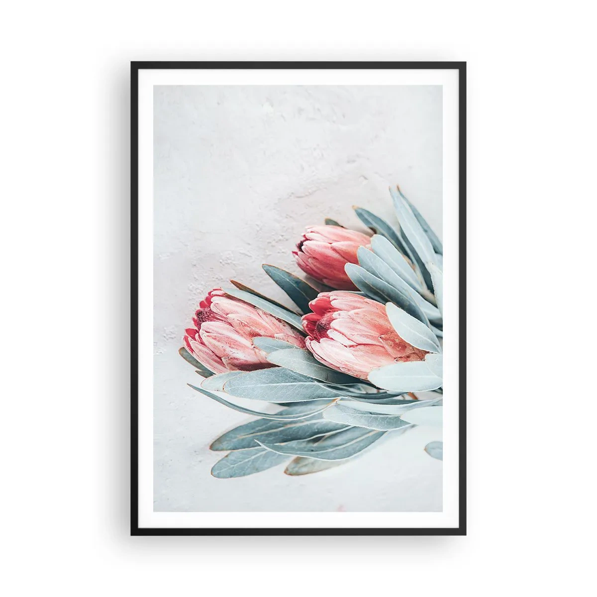 Poster in een zwarte lijst - Schaamt zich voor hun eigen schoonheid - 70x100 cm