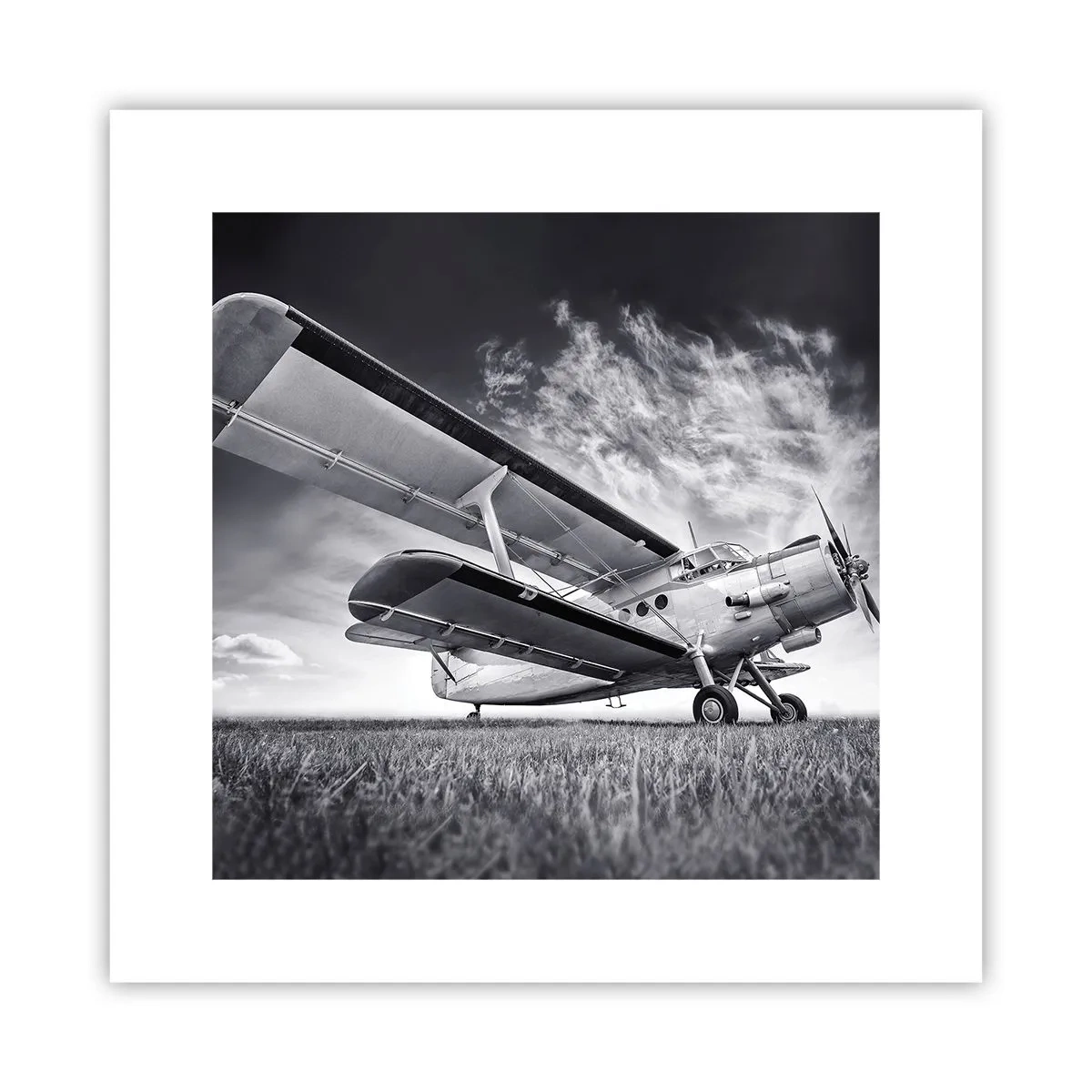 Poster - De gevleugelde zwerver - 30x30 cm