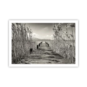 Poster - In de stilte van het gras - 91x61 cm