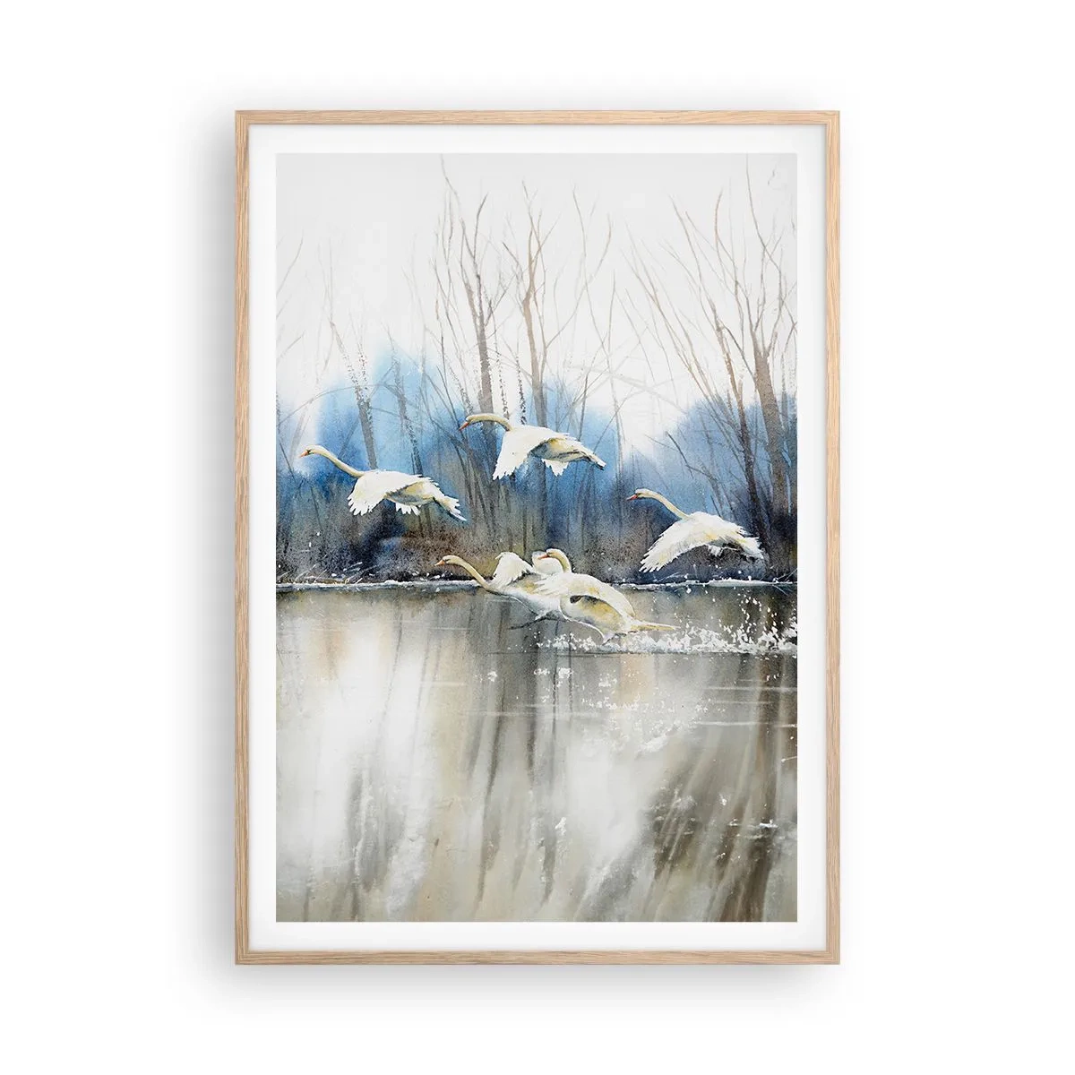 Een poster in een licht eiken lijst - Zoals in het sprookje over wilde zwanen - 70x100 cm