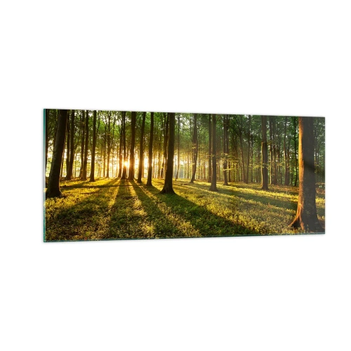 Schilderen op glas - Foto van de hele lente - 100x40 cm