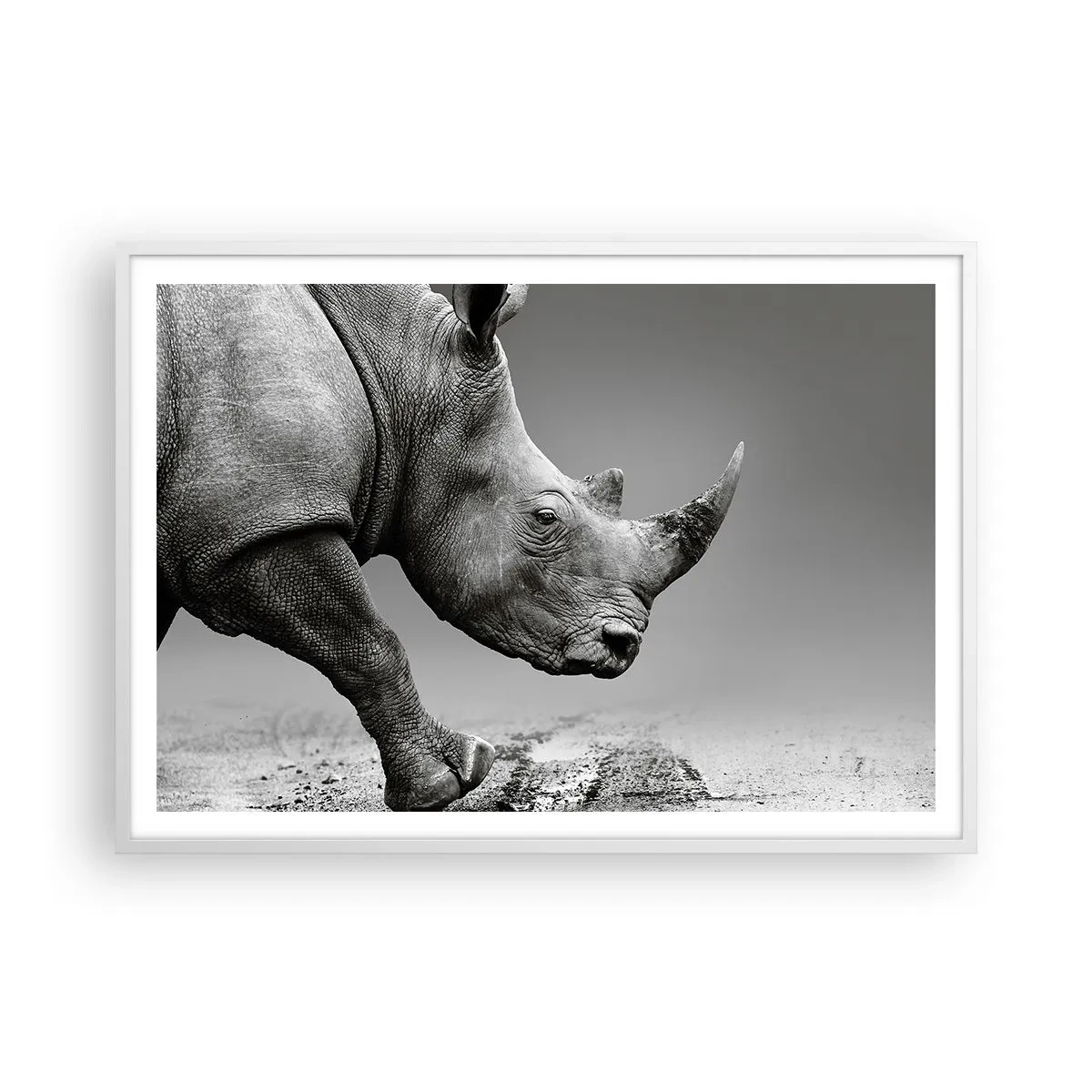 Poster in een witte lijst - Onstuitbare kracht - 100x70 cm