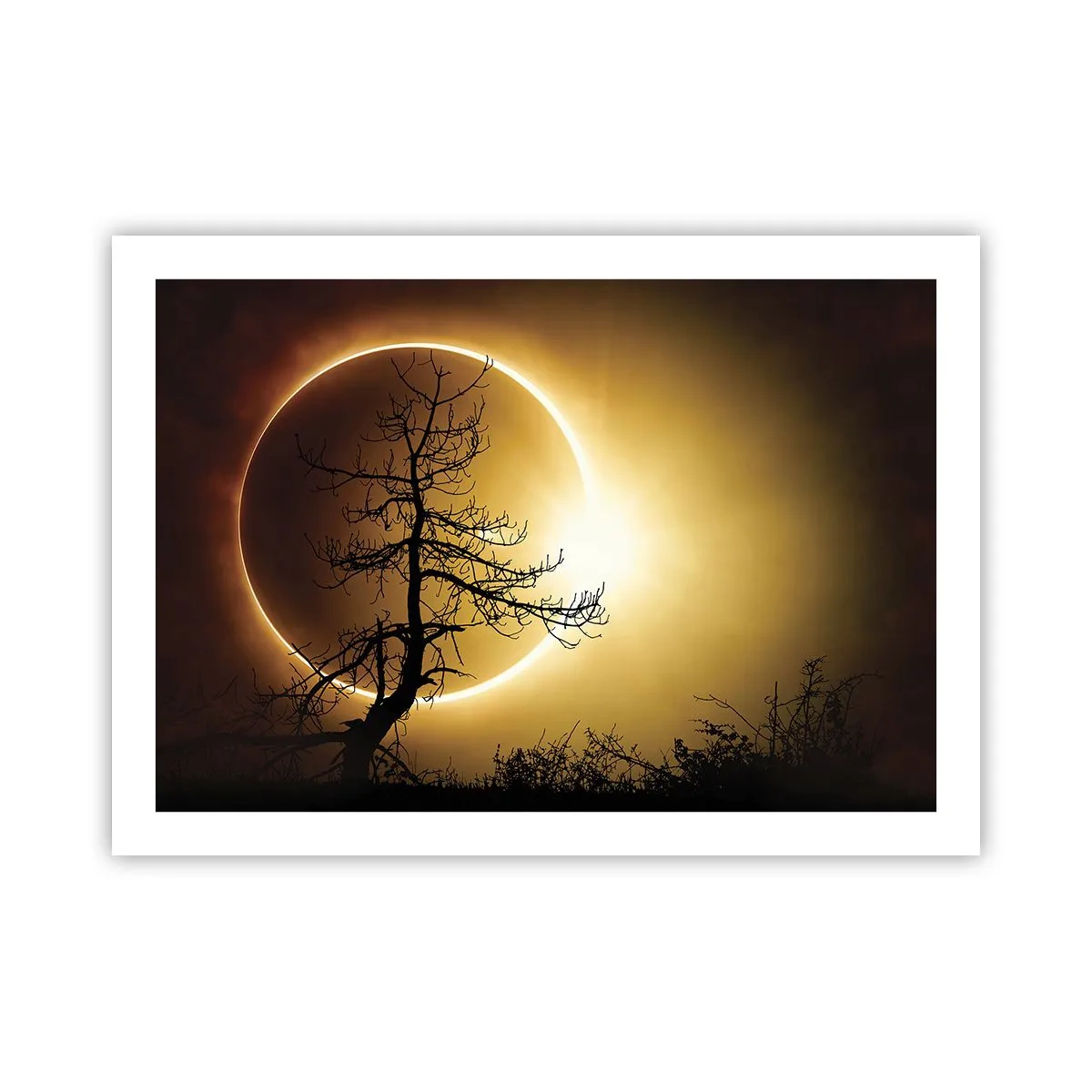 Poster - Totale zonsverduistering - 70x50 cm