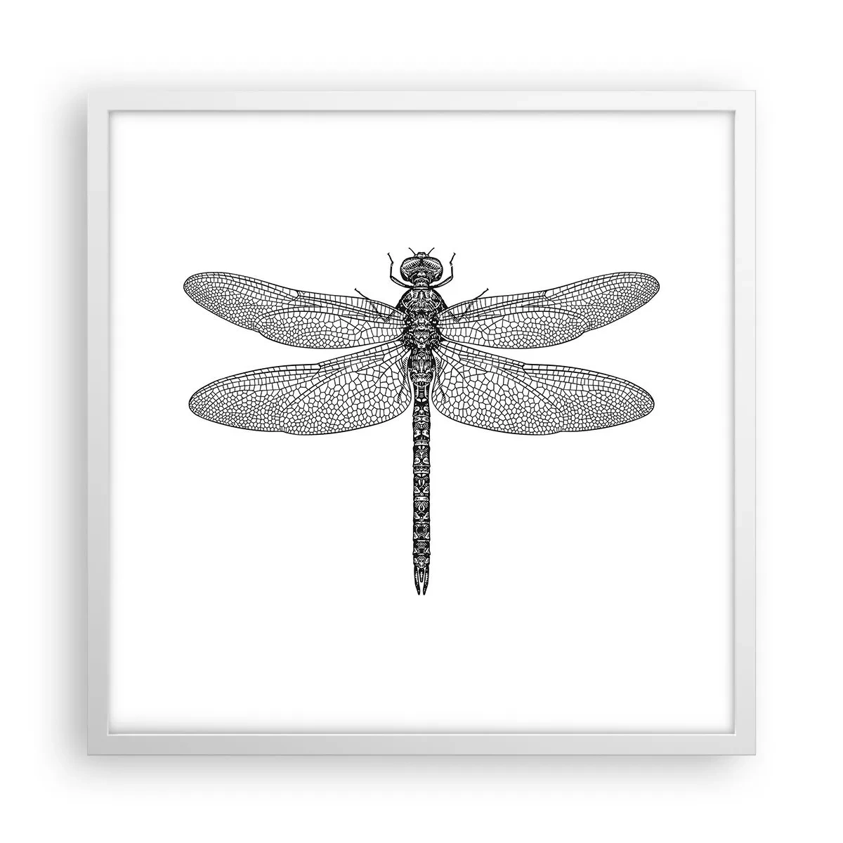 Poster in een witte lijst - Precisie van de natuur - 50x50 cm