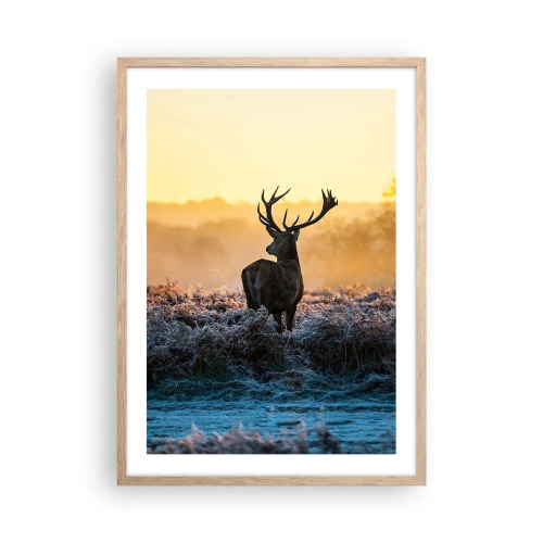 Een poster in een licht eiken lijst - Gekroond op zijn landgoed - 50x70 cm