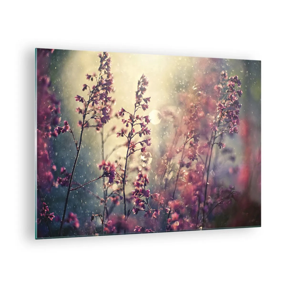 Schilderen op glas - Bloemen in het zonlicht in de zachte regen - 70x50cm - Geheime Tuin - Moderne wanddecoratie voor woonkamer en slaapkamer ARTTOR