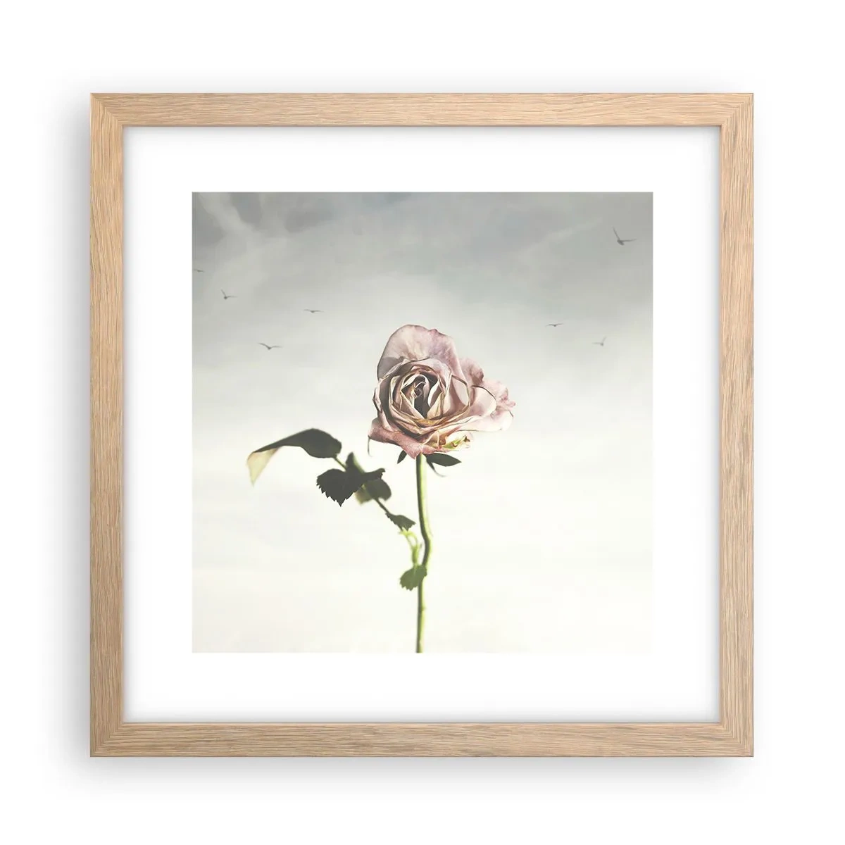 Een poster in een licht eiken lijst - Begroeting van de lente - 30x30 cm