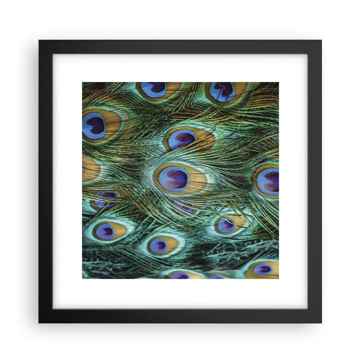 Poster in een zwarte lijst - Een pauwenooglook - 30x30 cm