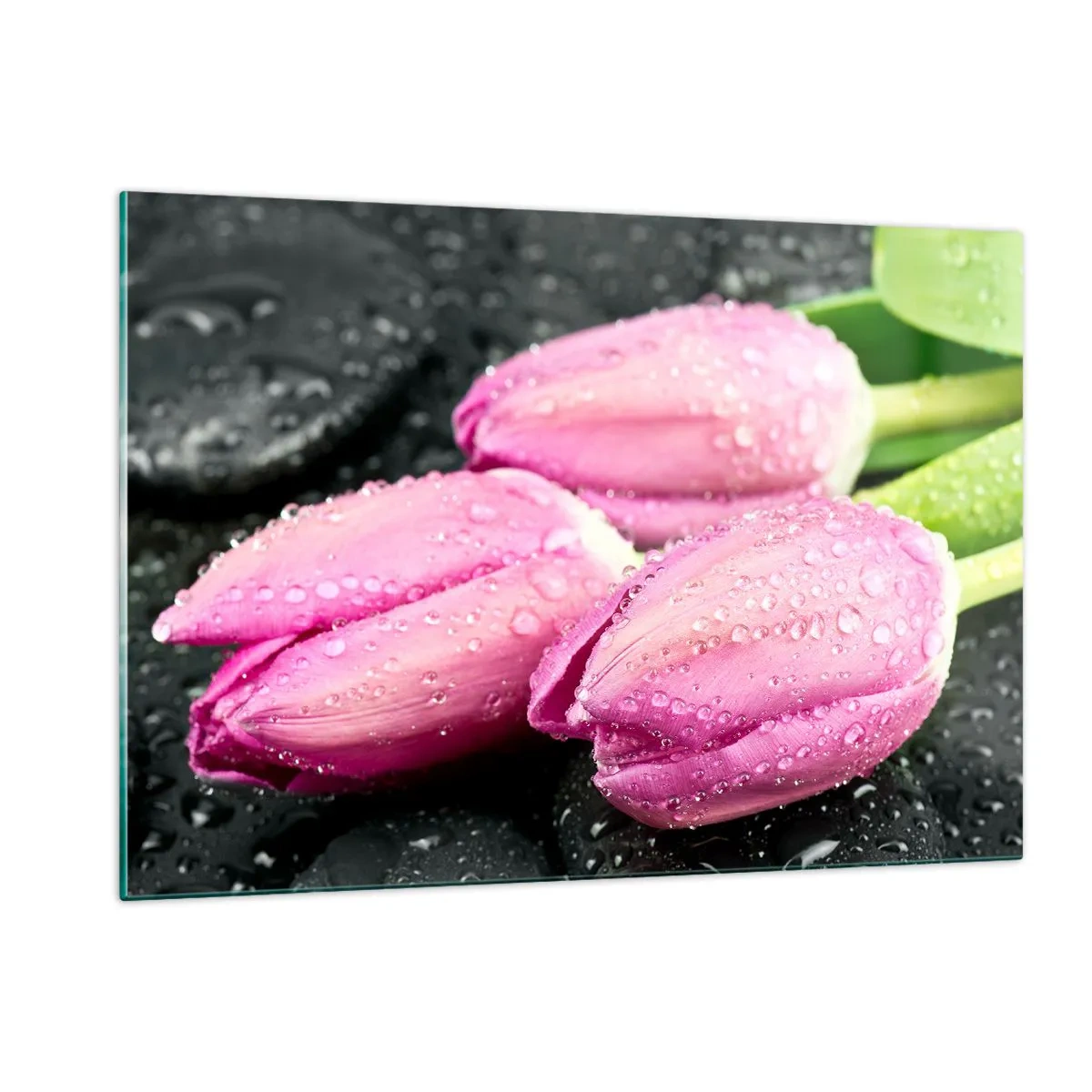 Schilderen op glas - Lila drie op een zwarte steen - 120x80 cm