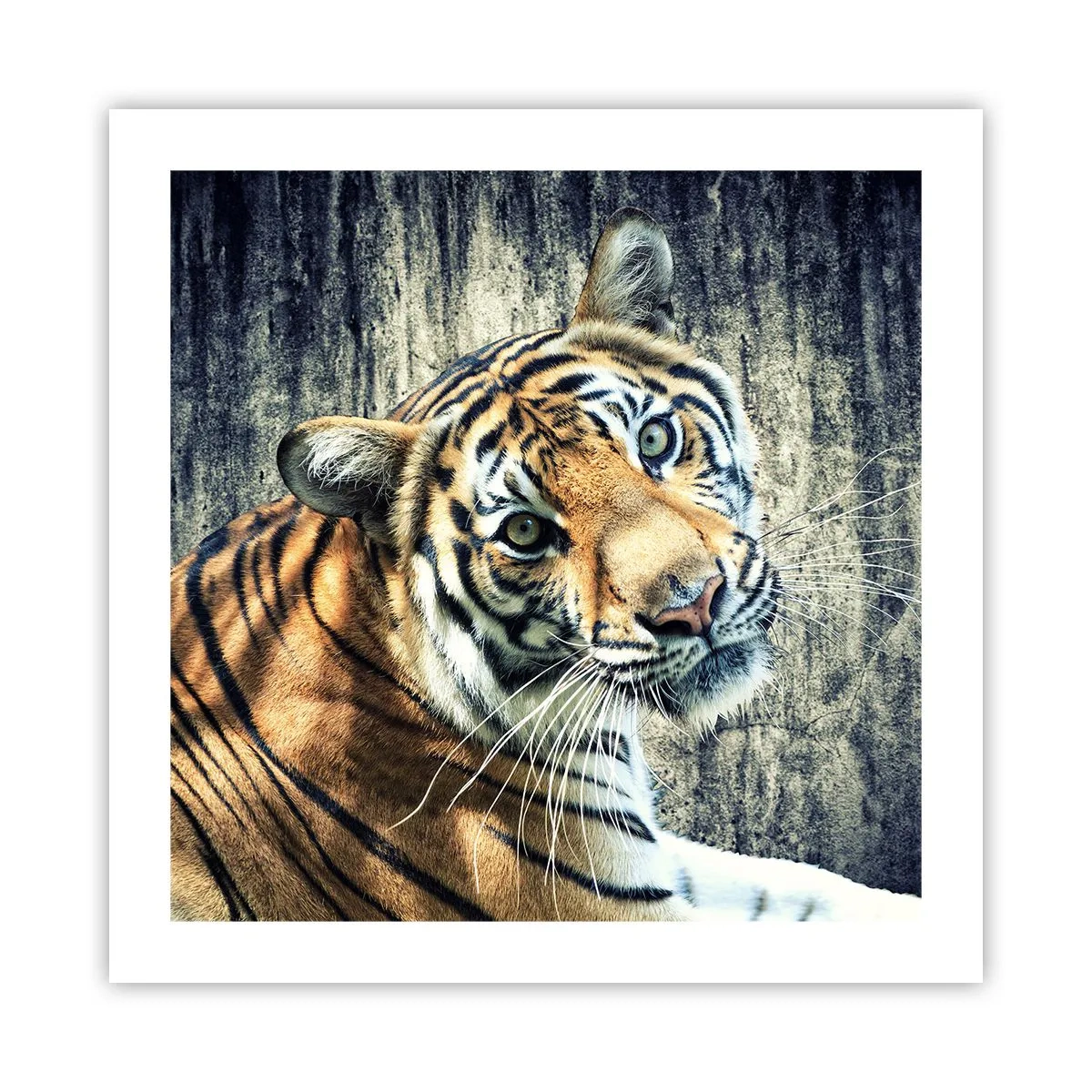 Poster - Portret in stromen van licht - 50x50 cm