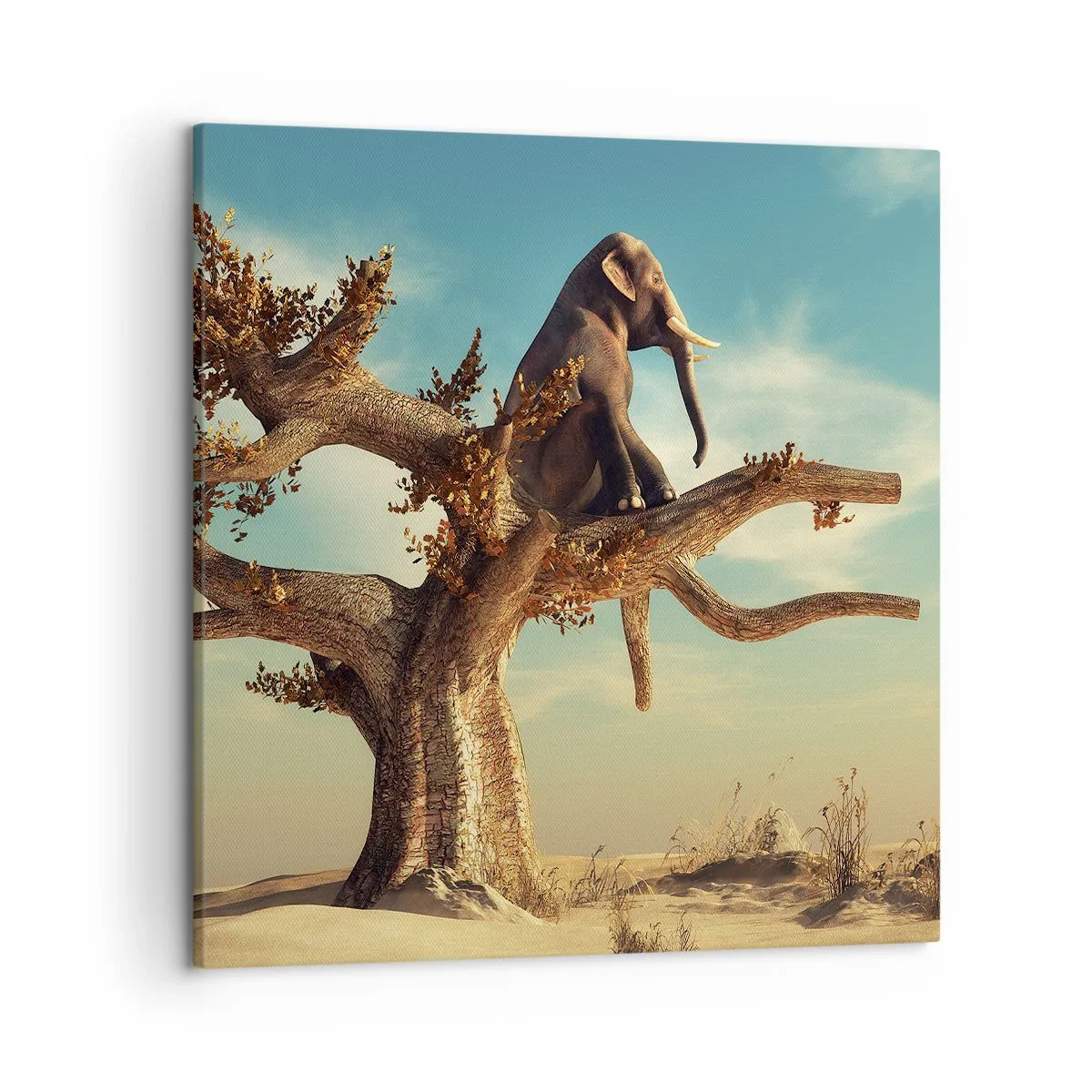 Schilderen op canvas - Een nieuw gezichtspunt - 50x50 cm