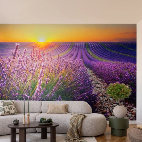 Fotobehang Premium Canvas - Geurige korenvelden - Landschap, Lavendelveld, Provence - 200x140 cm