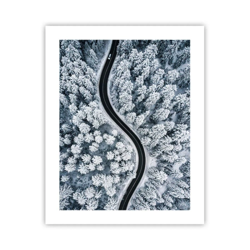 Poster - Door het winterbos - 40x50 cm