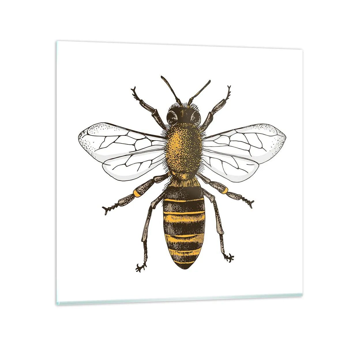 Schilderen op glas - Mooi en goed - 60x60 cm