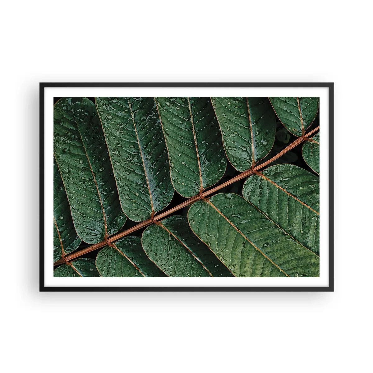 Poster in een zwarte lijst - In een groen ritme - 100x70 cm