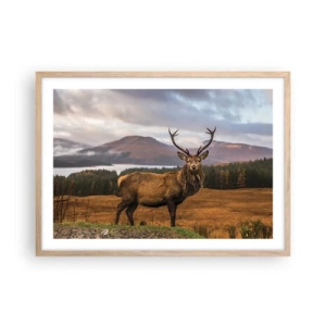 Een poster in een licht eiken lijst - De majesteit van de natuur - 70x50 cm