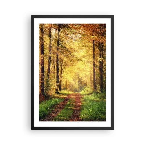 Poster in een zwarte lijst - Een bospad in het licht van de gouden herfstzon - 50x70cm - Bos-gouden stilte - Moderne wanddecoratie voor woonkamer en slaapkamer ARTTOR