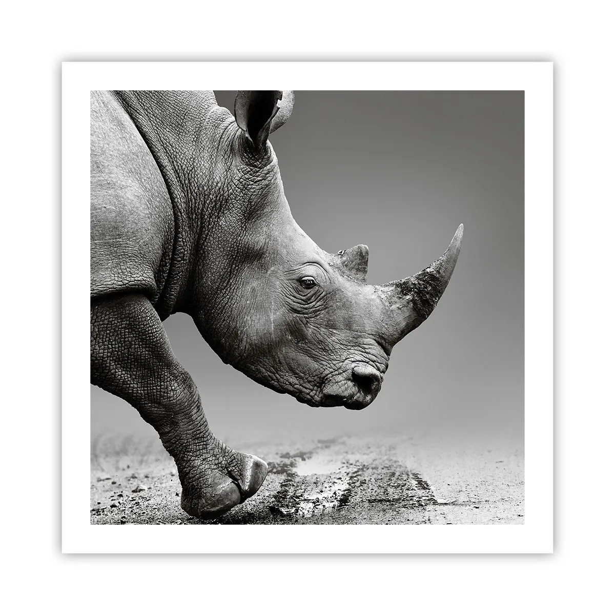 Poster - Onstuitbare kracht - 60x60 cm