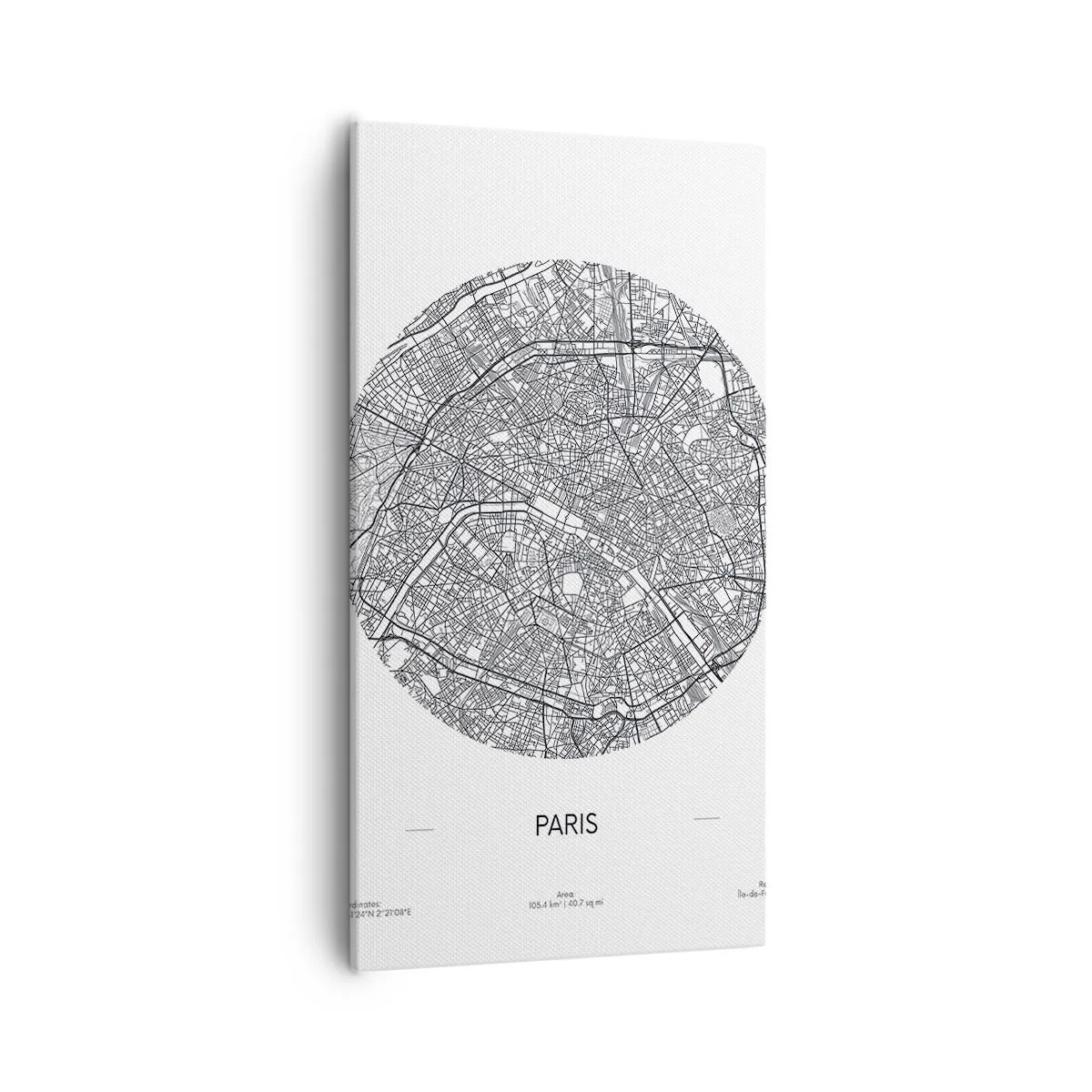 Schilderen op canvas - Anatomie van Parijs - 55x100 cm