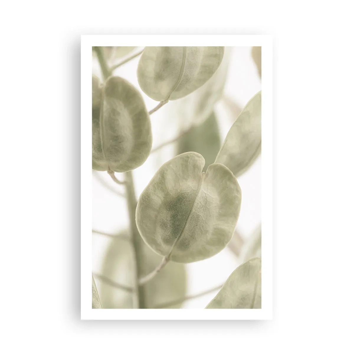 Poster - In het begin waren er bladeren... - 61x91 cm