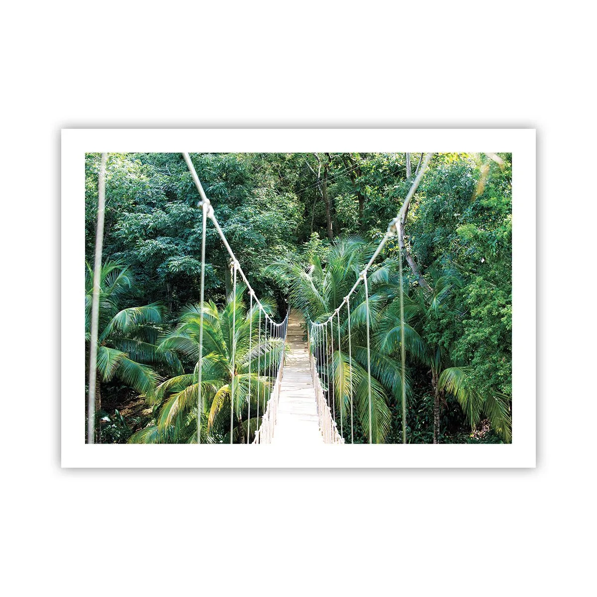 Poster - Welkom in de jungle! - 70x50 cm