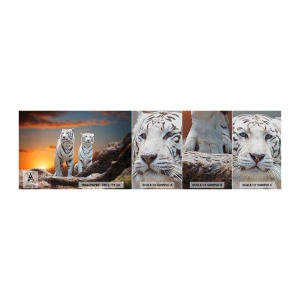 Fotobehang Monster Premium Sand - Net als in Narnia - Dieren, Tijger, Zonsondergang - 100x30 cm
