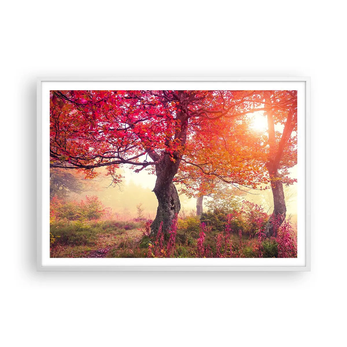 Poster in een witte lijst - Bloeiende razernij - 100x70 cm