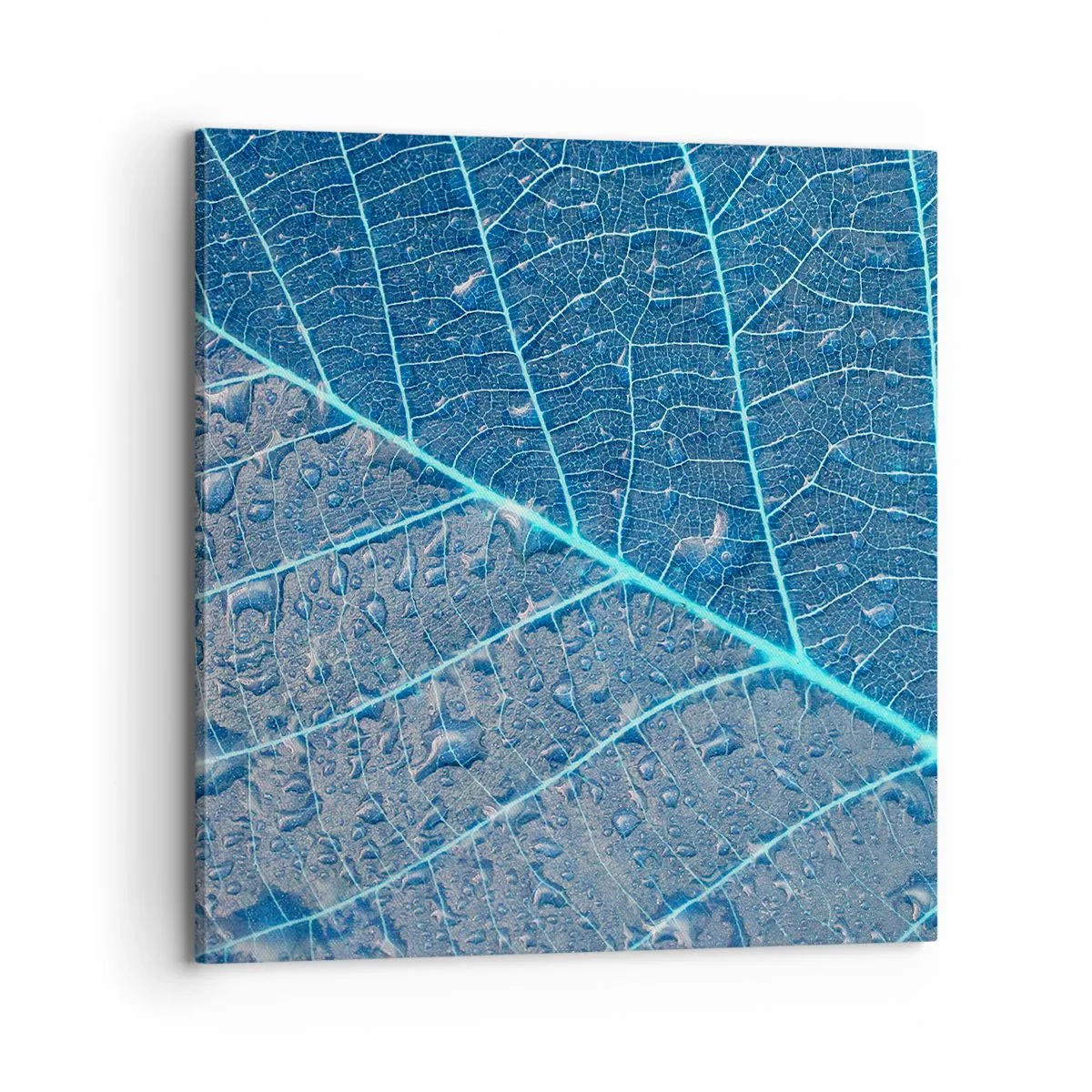 Schilderen op canvas - Leven in blauw - 70x70 cm