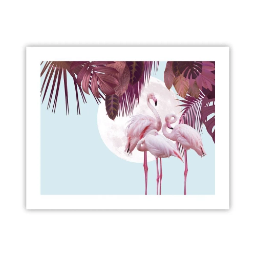 Poster - Drie vogel genaden - 50x40 cm
