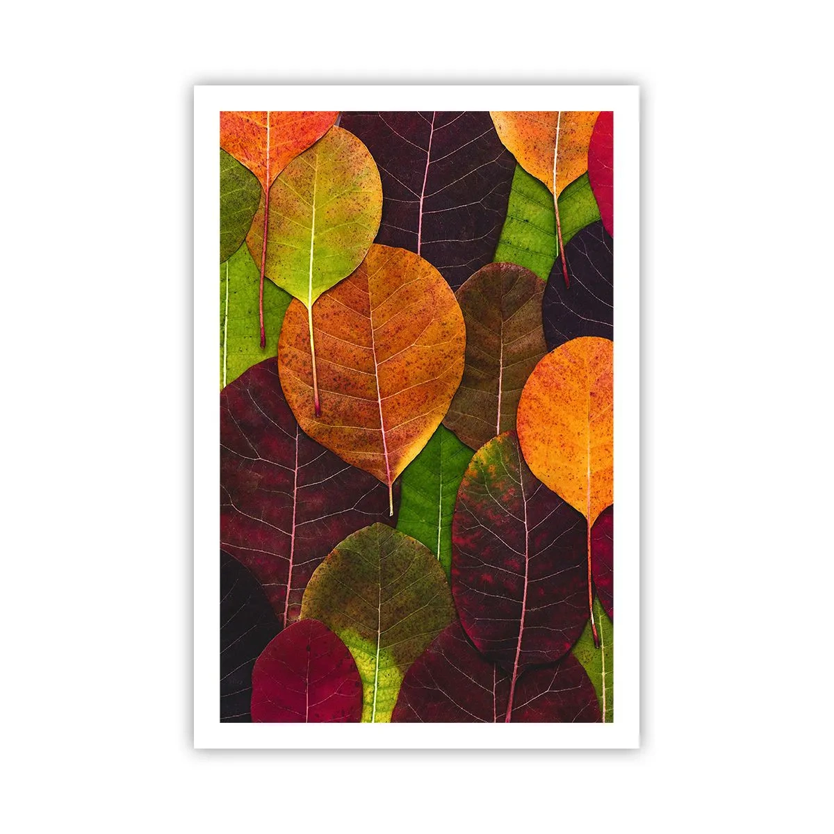 Poster - Herfst mozaïek - 61x91 cm
