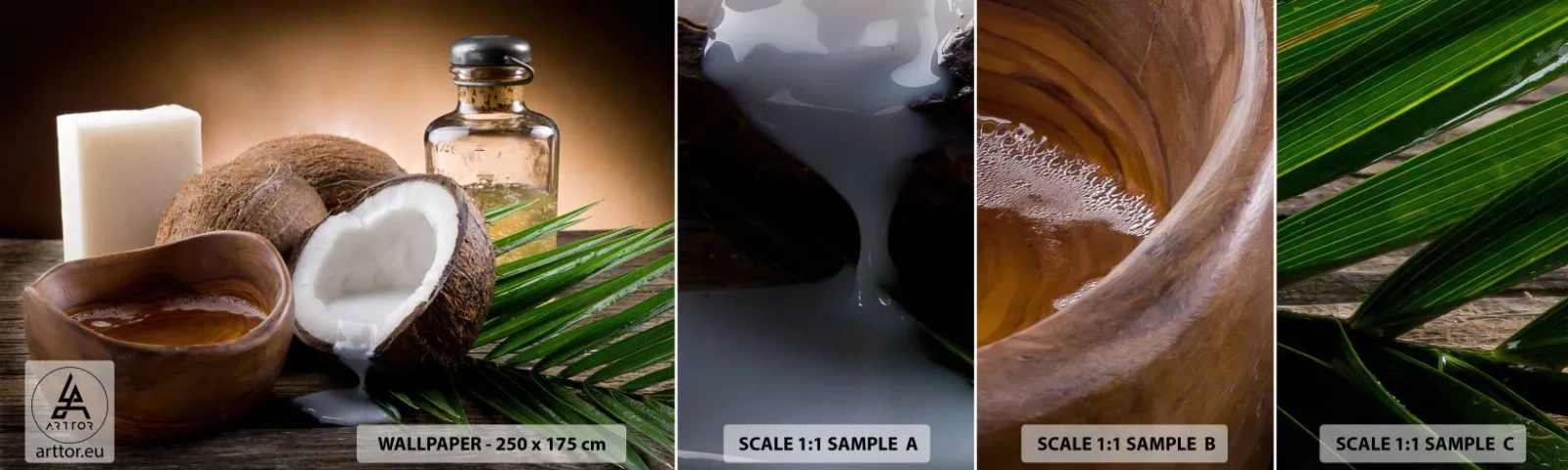 Fotobehang Staaltje Standard Eco - Gezondheid van tropische eilanden - Kokosnoot, Spa, Kokosnootolie - 100x30 cm