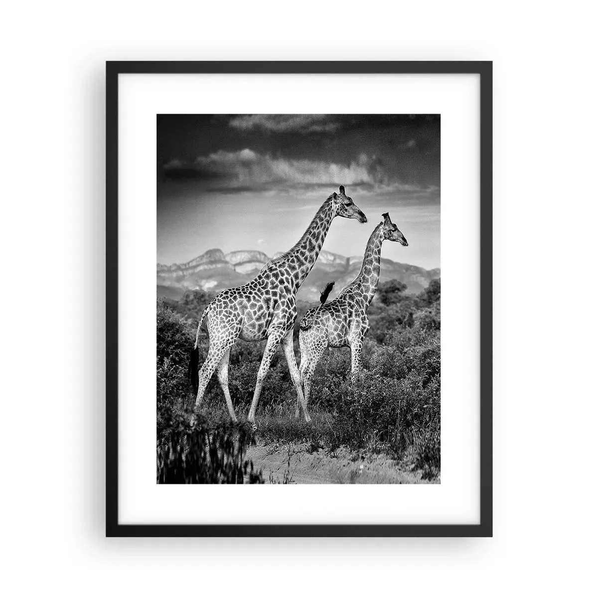 Poster in een zwarte lijst - Hoge sferen in Afrika - 40x50 cm
