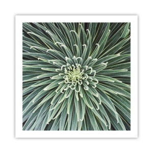 Poster - Een ster is geboren - 60x60 cm