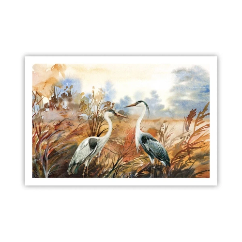 Poster - Waarheen in de herfst? - 91x61 cm