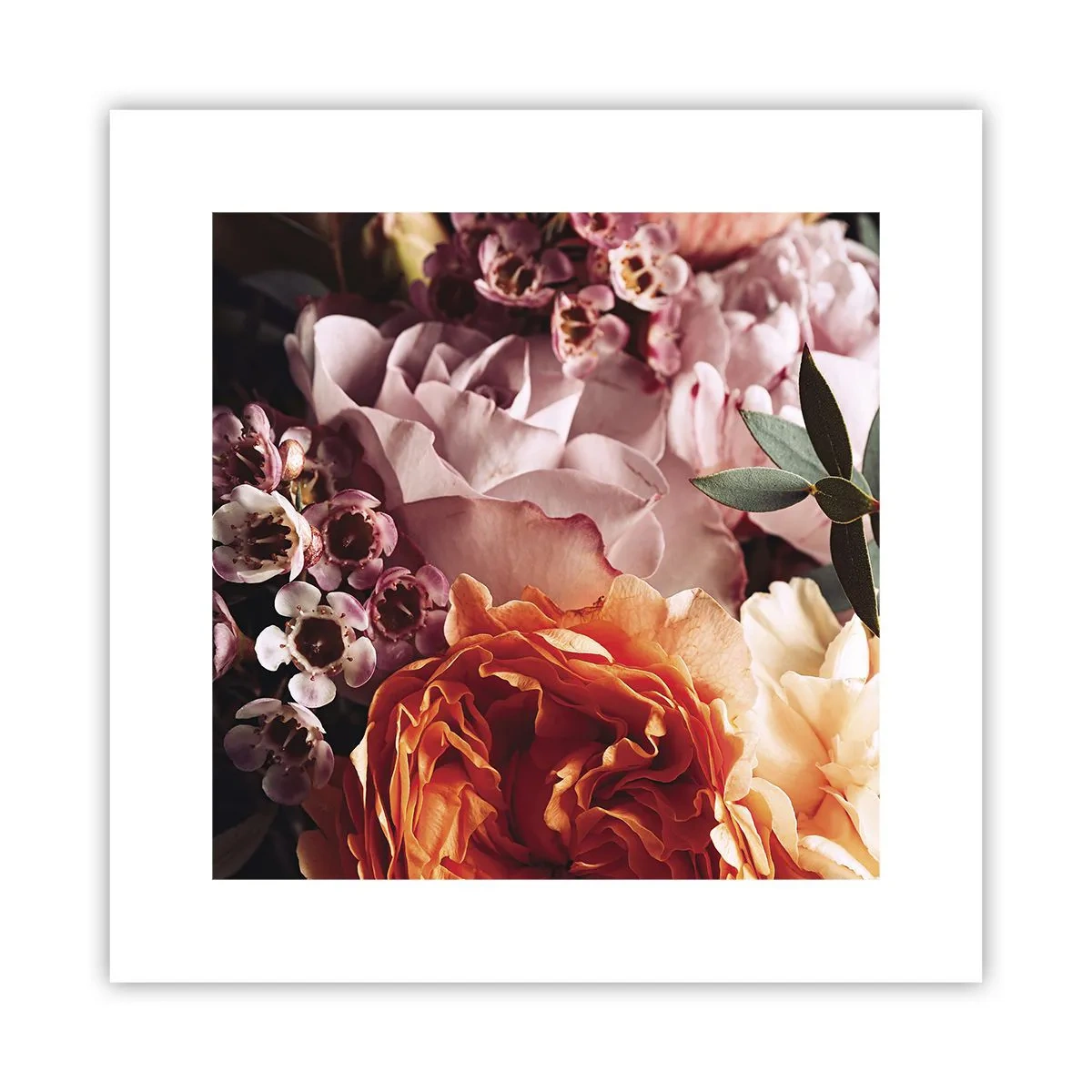 Poster - Gehuld in schoonheid - 30x30 cm