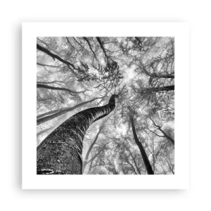 Poster - Race naar het licht - 40x40 cm