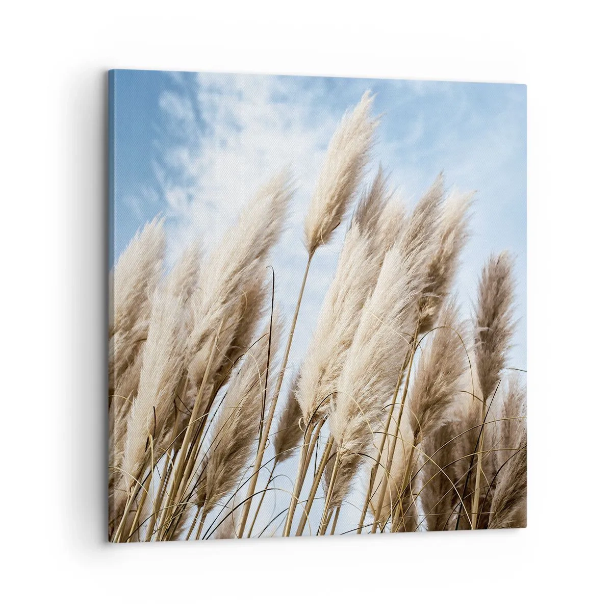 Schilderen op canvas - Zonnige en winderige streling - 60x60 cm