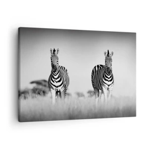 Schilderen op canvas - Twee zebra's in de savanne in een monochrome stijl - 70x50cm - Toch is de wereld zwart-wit - Moderne wanddecoratie voor woonkamer en slaapkamer ARTTOR
