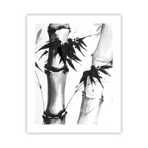 Poster - Close-up op het oosten - 40x50 cm