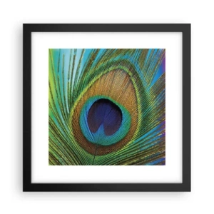 Poster in een zwarte lijst - Oog in oog - 30x30 cm