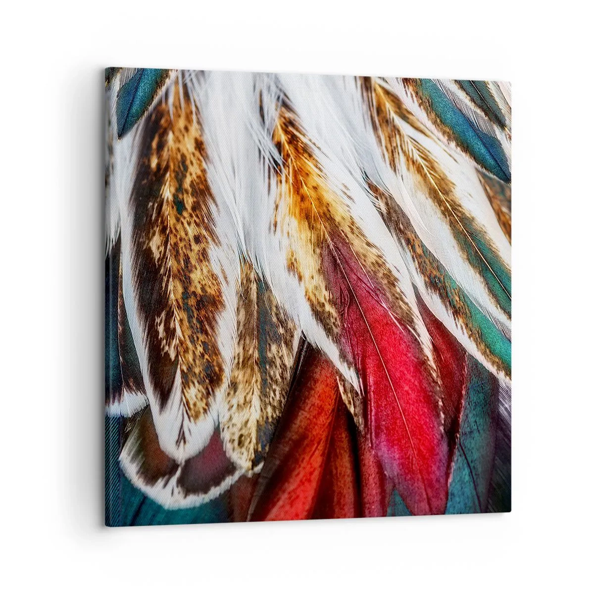 Schilderen op canvas - Geheimen van de vlucht - 50x50 cm