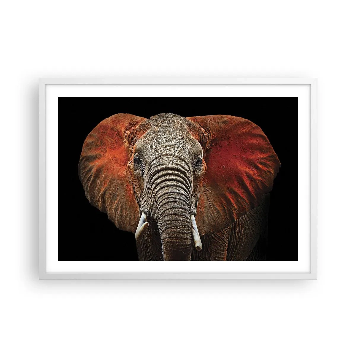 Poster in een witte lijst - Ik ben wild, en jij? - 70x50 cm