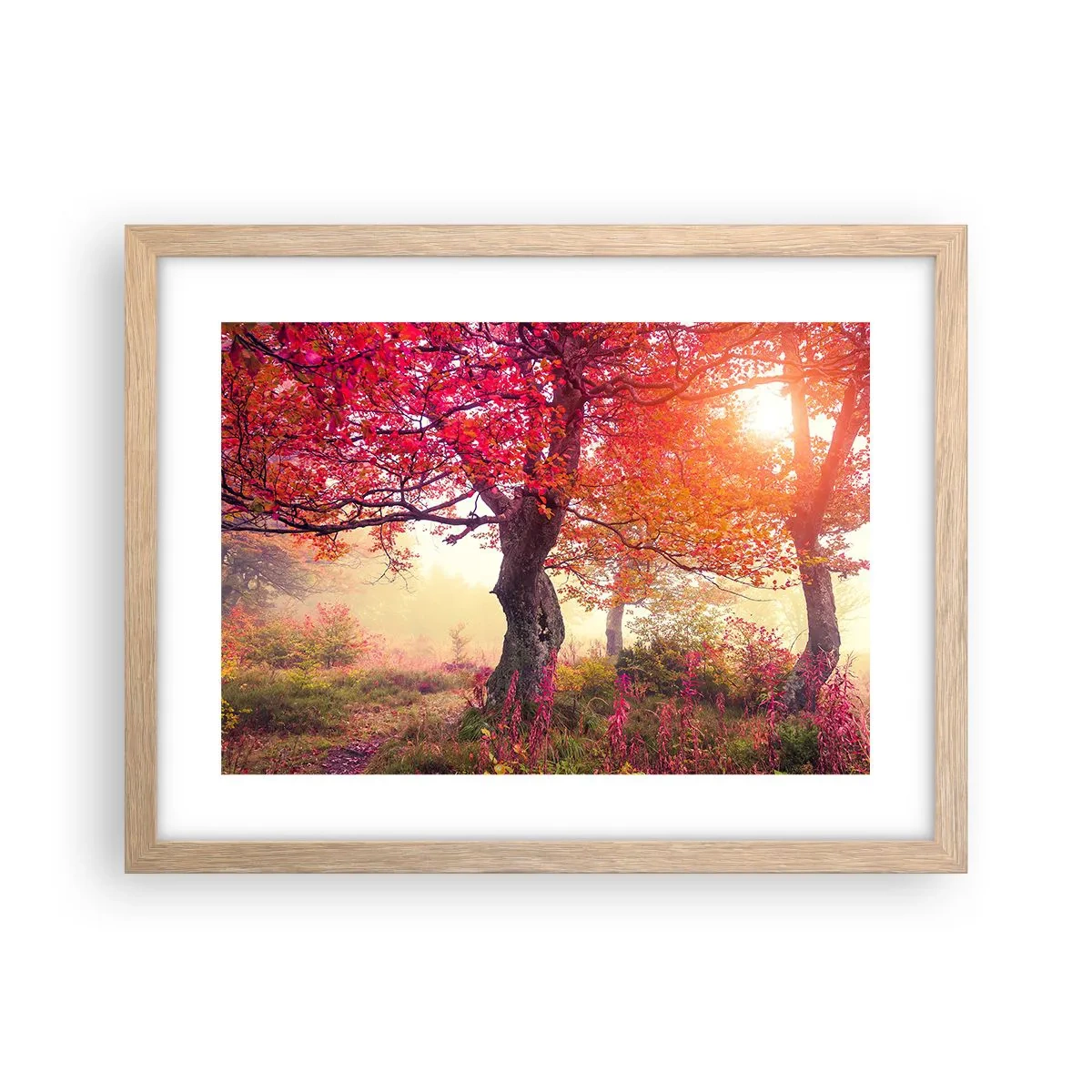 Een poster in een licht eiken lijst - Bloeiende razernij - 40x30 cm