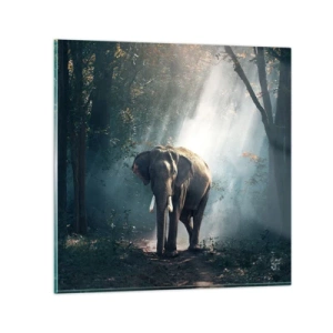 Schilderen op glas - Een ontspannen wandeling - 70x70 cm